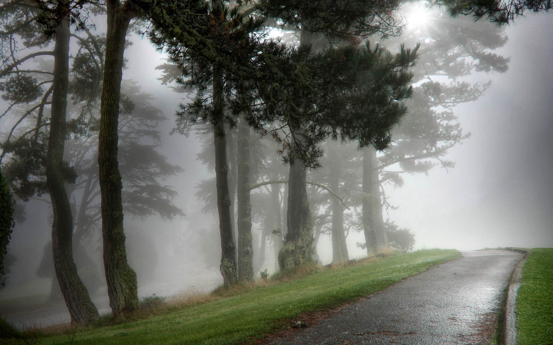 小清新,舒缓压力,儿童桌面专用