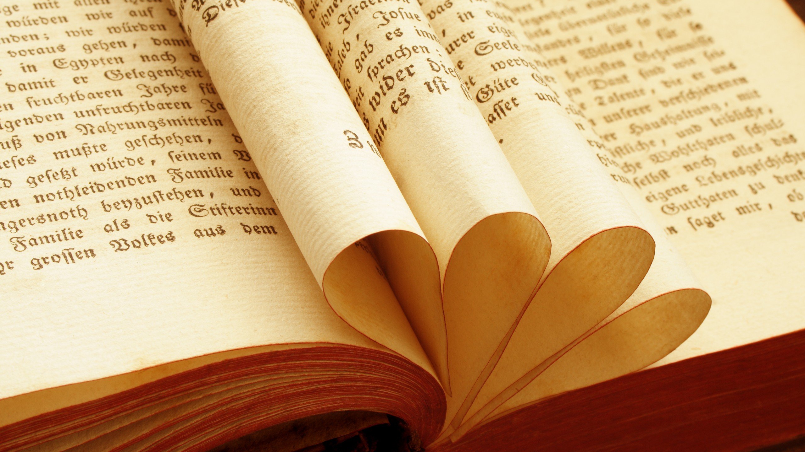 爱情美图,唯美温馨,爱心书本