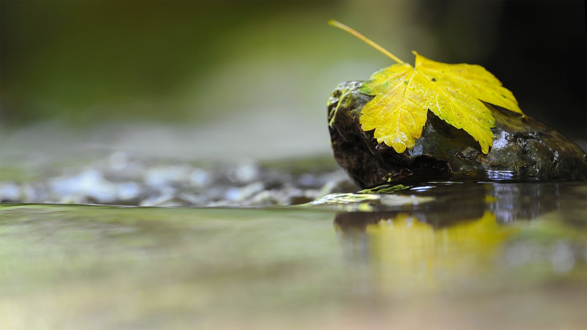 小清新,清新淡雅,舒缓压力,护眼壁纸,儿童桌面专用