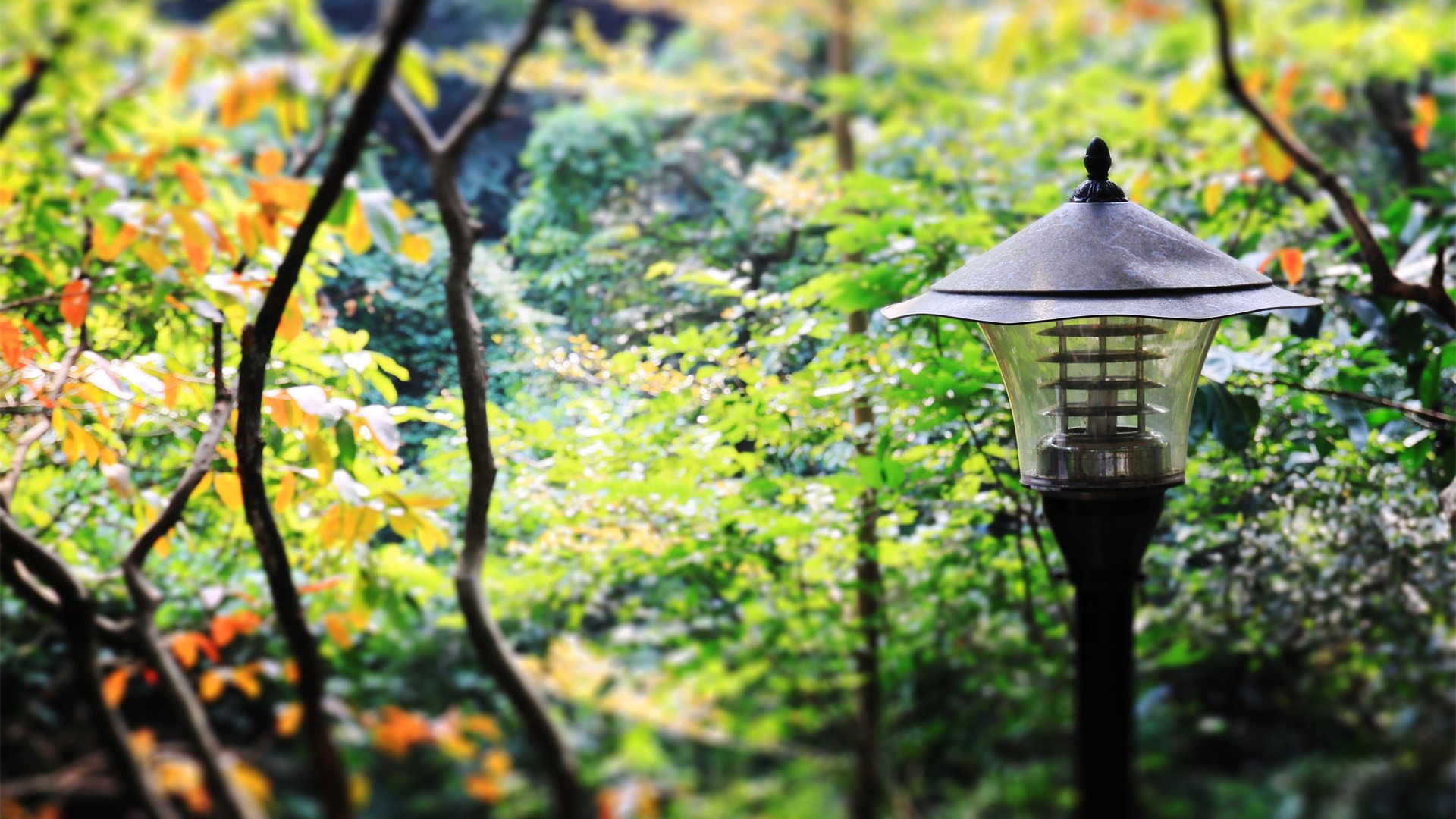 小清新,静物写真,YBP摄影,@YBP摄影,儿童桌面专用