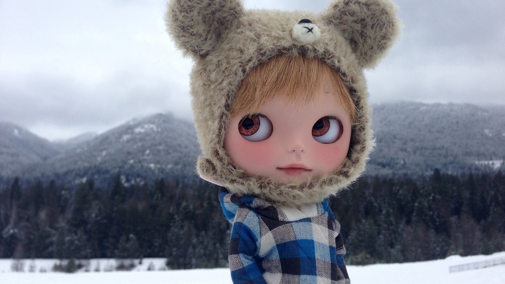 小清新,静物写真,温馨一刻,娃娃,儿童桌面专用