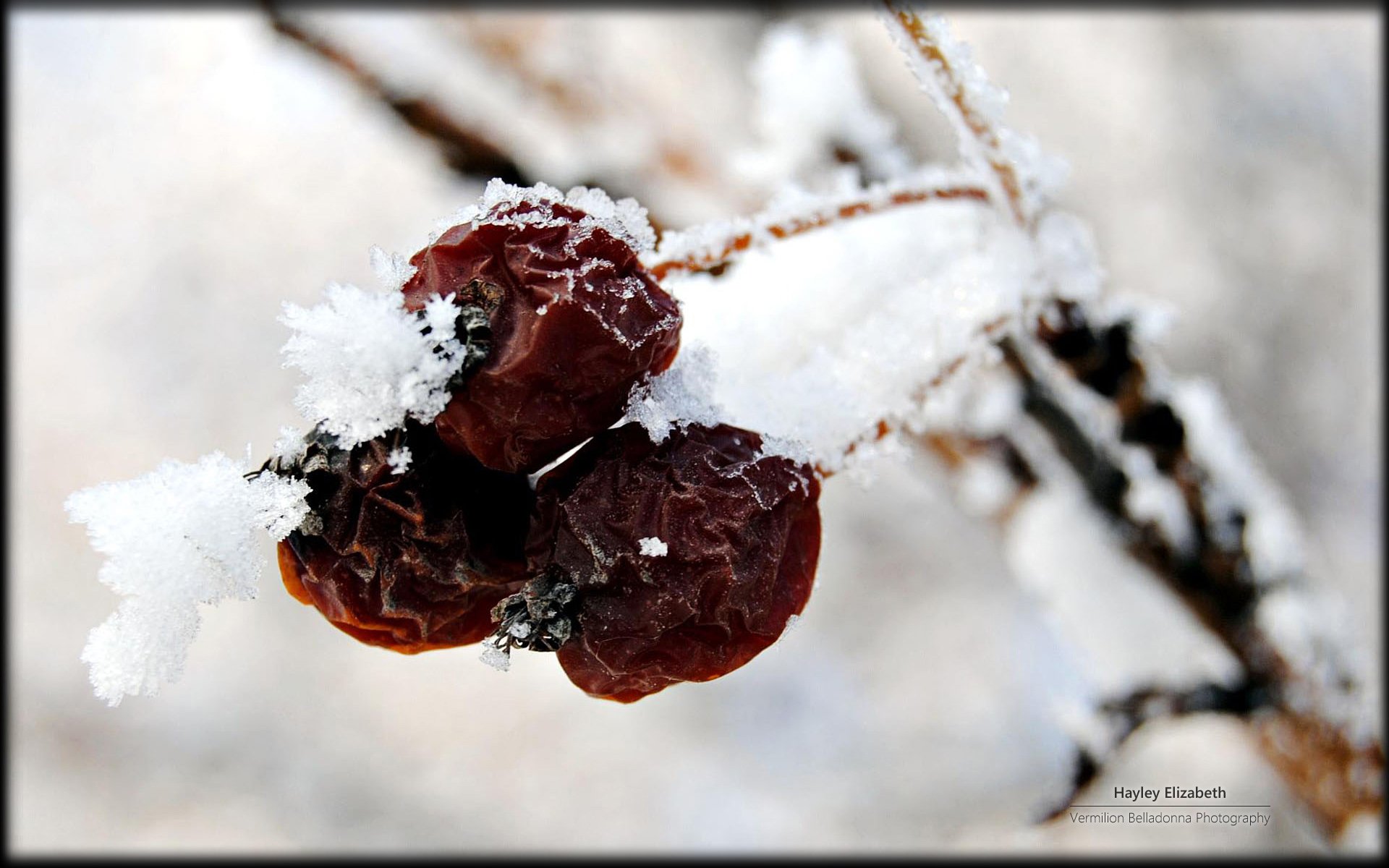风景,冰天雪地,儿童桌面专用