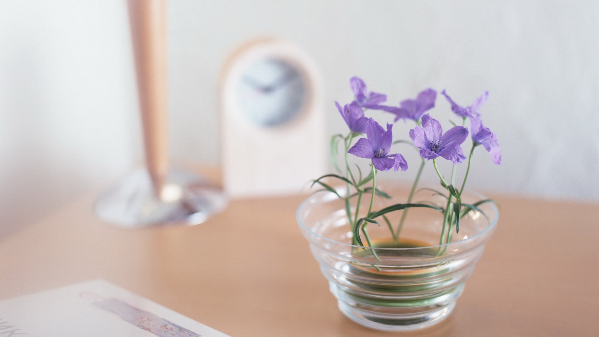 小清新,清新淡雅,温馨一刻,娇艳欲滴,儿童桌面专用