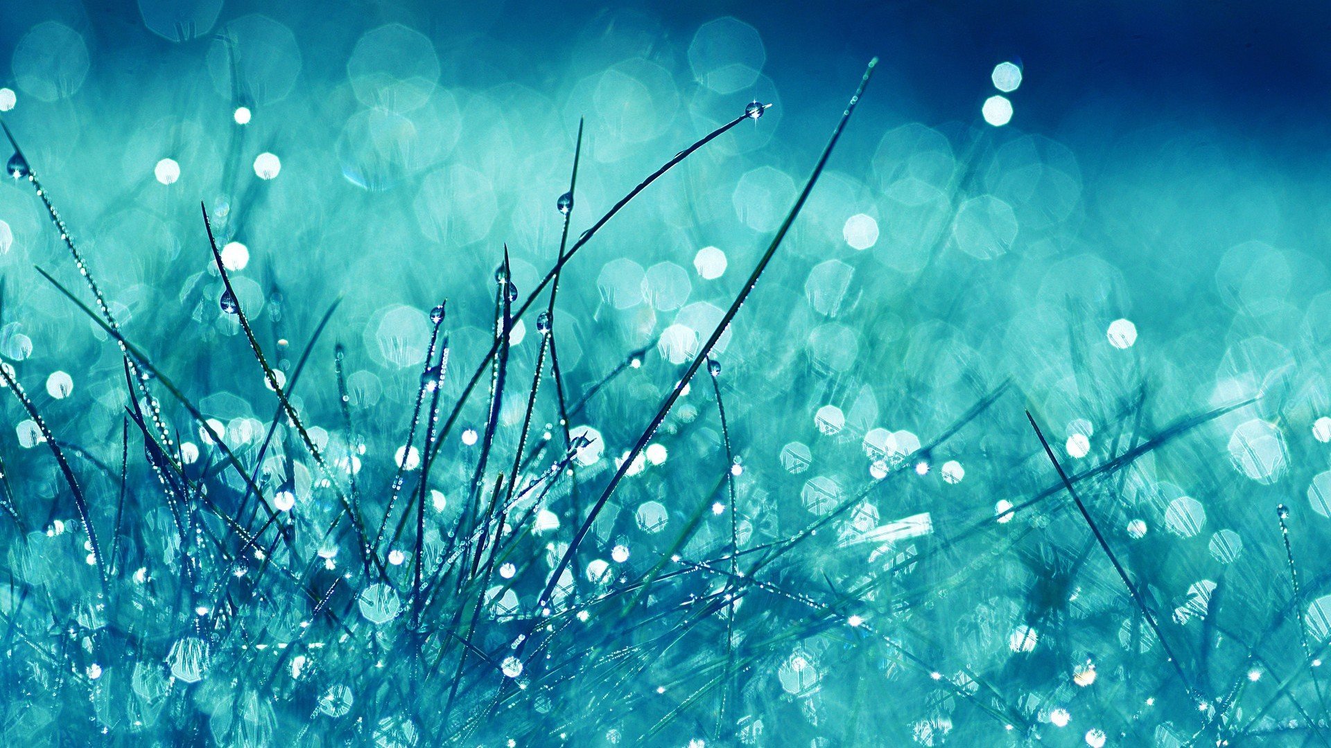 小清新,护眼壁纸,清新淡雅,儿童桌面专用