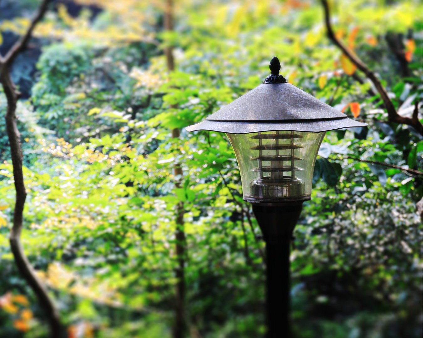 小清新,静物写真,YBP摄影,@YBP摄影,儿童桌面专用