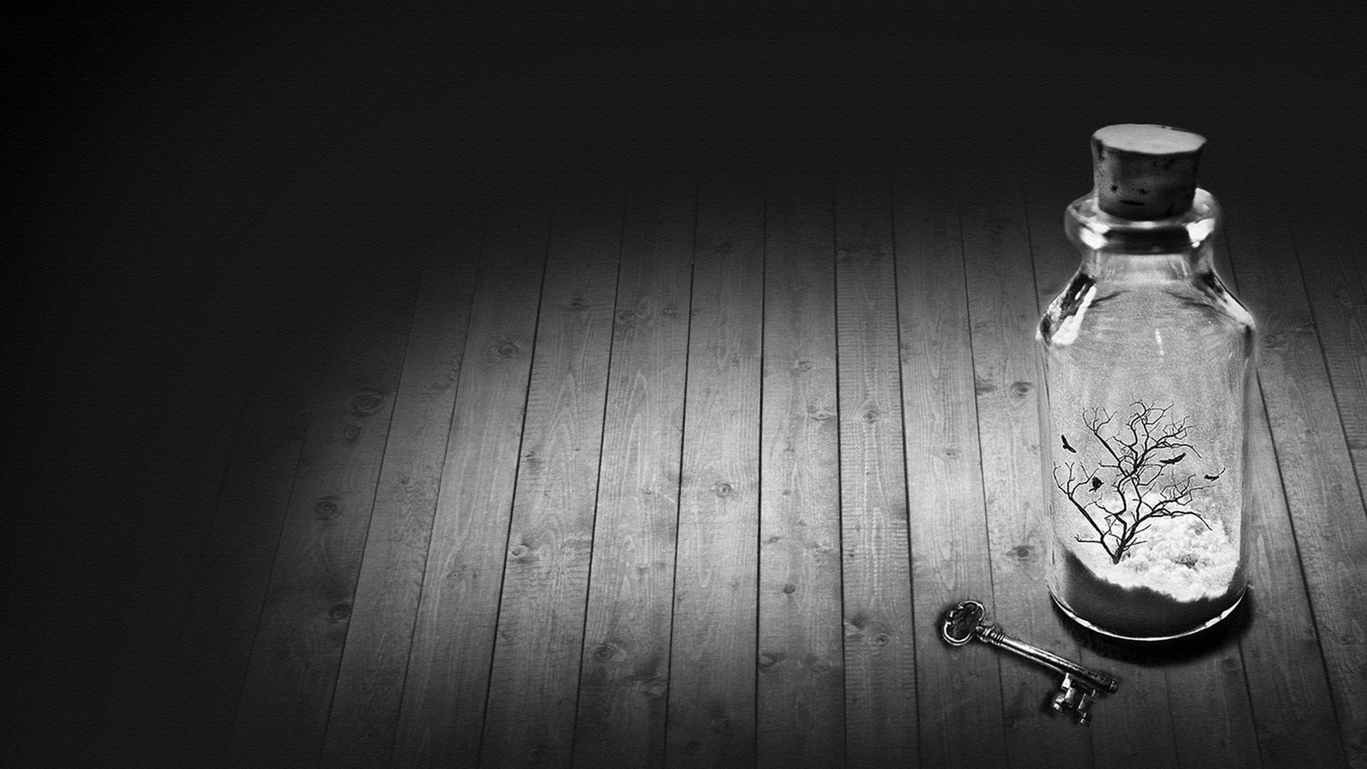 小清新,静物写真,许愿