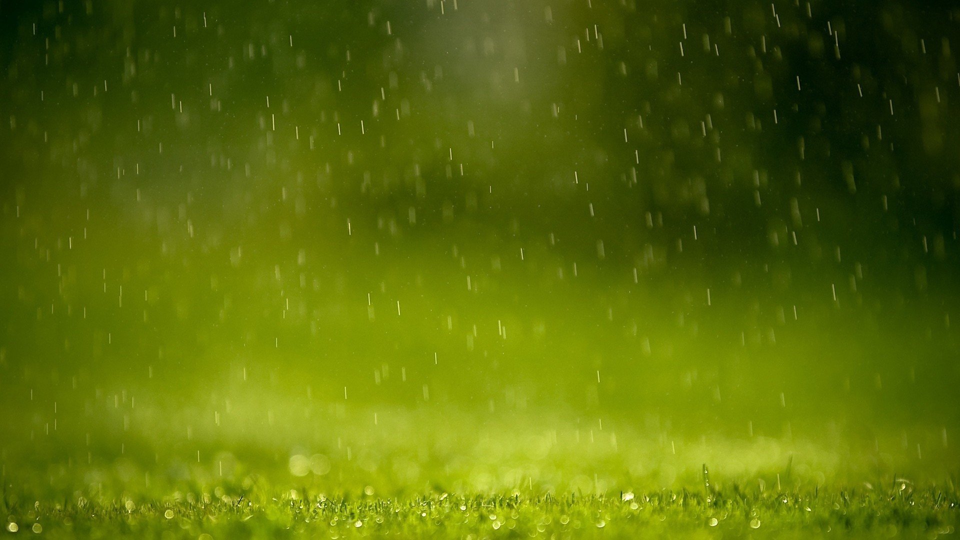 小清新,护眼壁纸,清新淡雅,儿童桌面专用