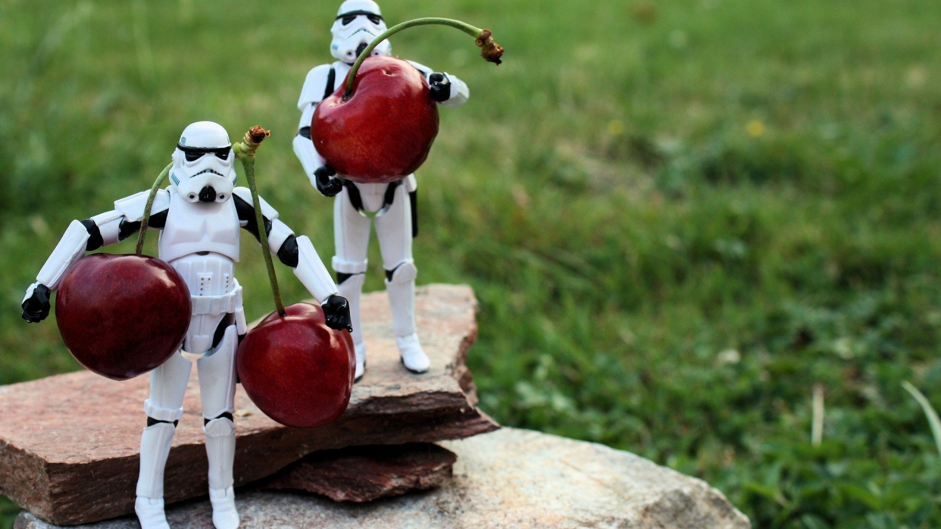 小清新,静物写真,机器人,儿童桌面专用