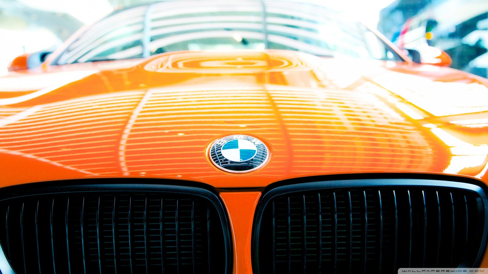 汽车,超跑,宝马,儿童桌面专用