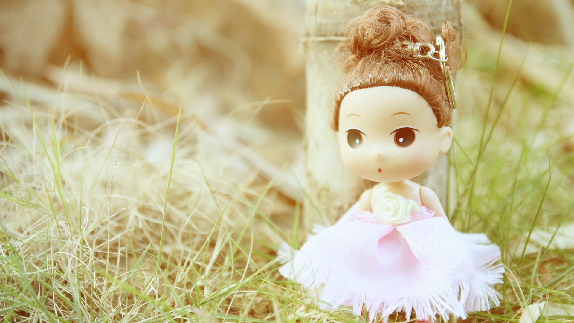 小清新,静物写真,娃娃,YBP摄影,儿童桌面专用