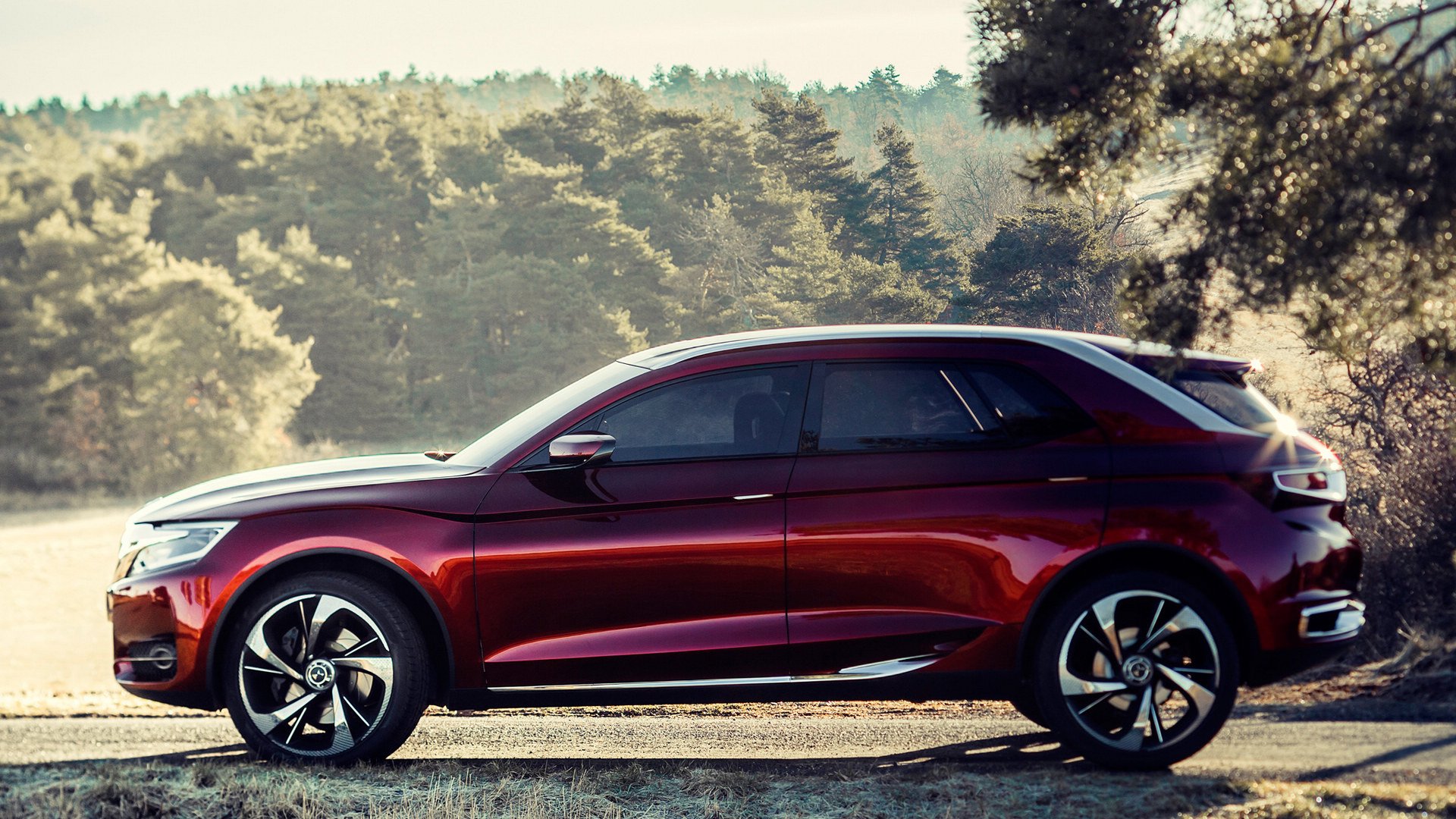 SUV,雪铁龙,儿童桌面专用