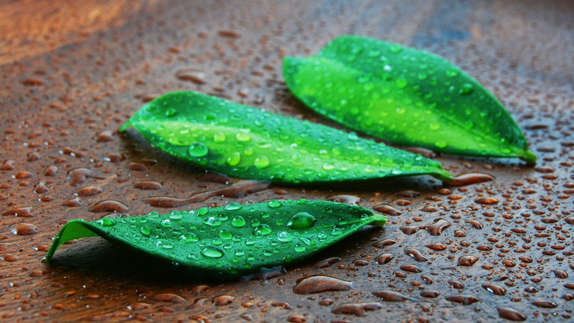 小清新,护眼壁纸,儿童桌面专用