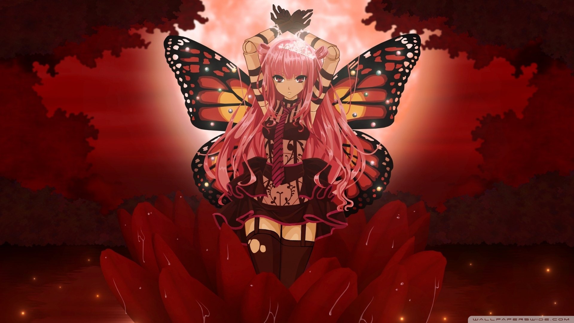 动漫,卡通,插画,手绘,喵星人,猫,可爱,儿童桌面专用