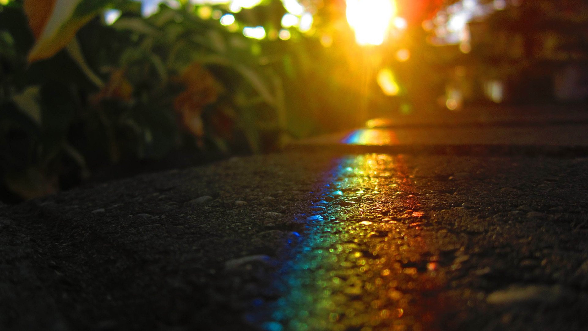 小清新,温馨一刻,彩虹,儿童桌面专用