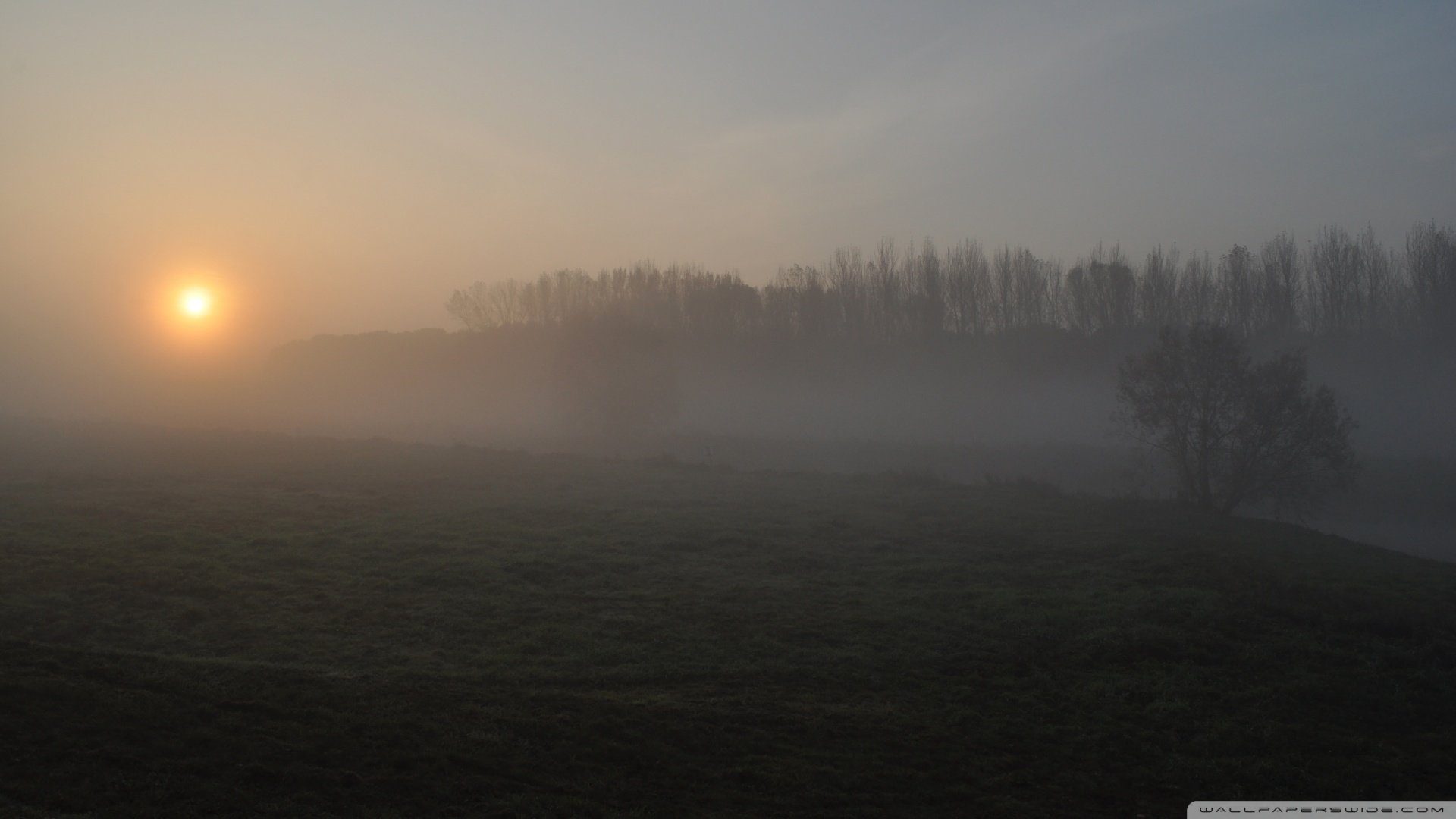 风景,落日余晖,儿童桌面专用