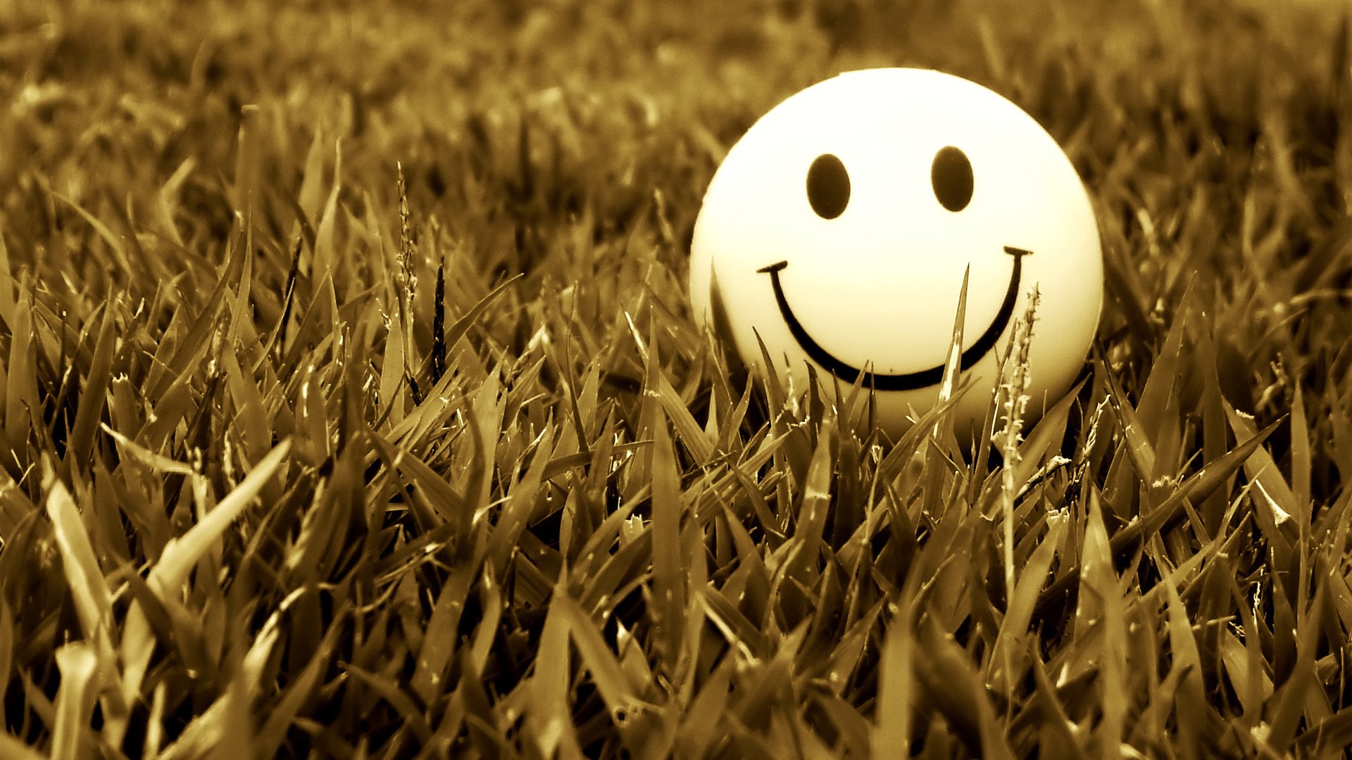 小清新,静物写真,笑脸,儿童桌面专用