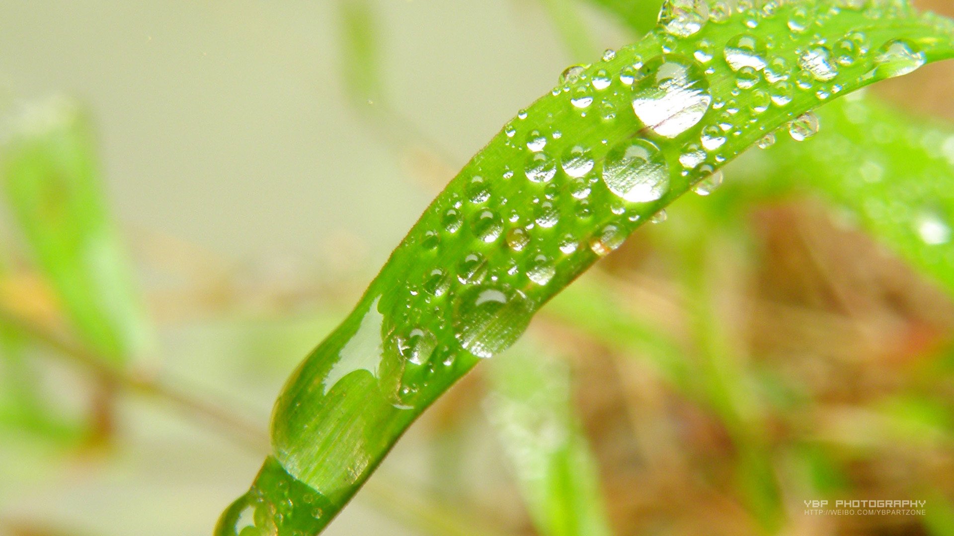 小清新,护眼壁纸,清新淡雅,儿童桌面专用