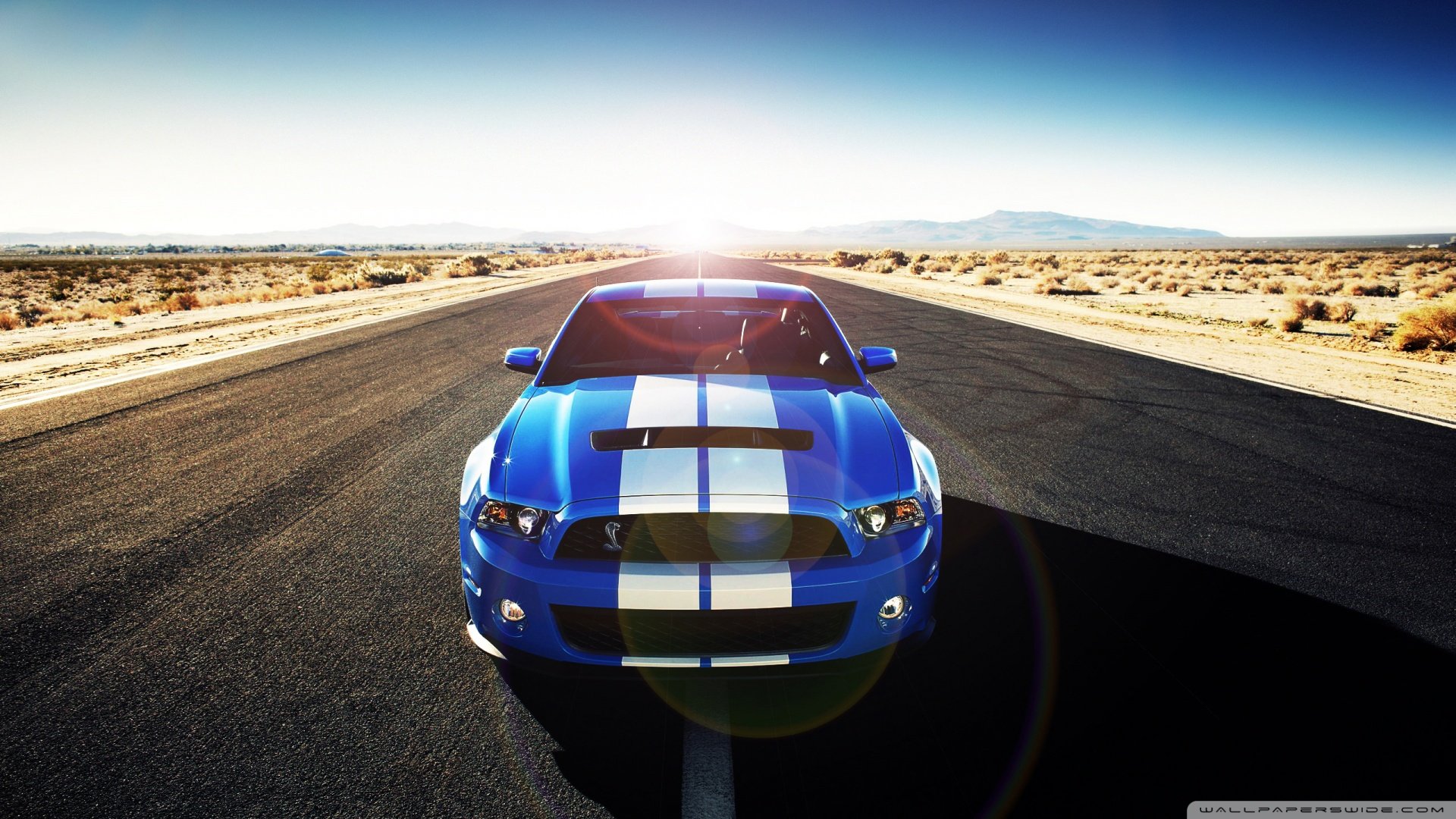 超跑,道奇,儿童桌面专用