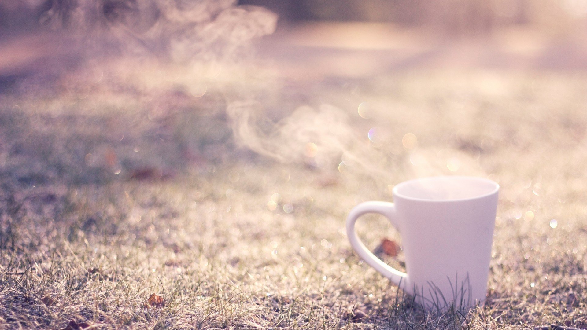 小清新,静物写真,杯子,一杯子暖暖的,儿童桌面专用