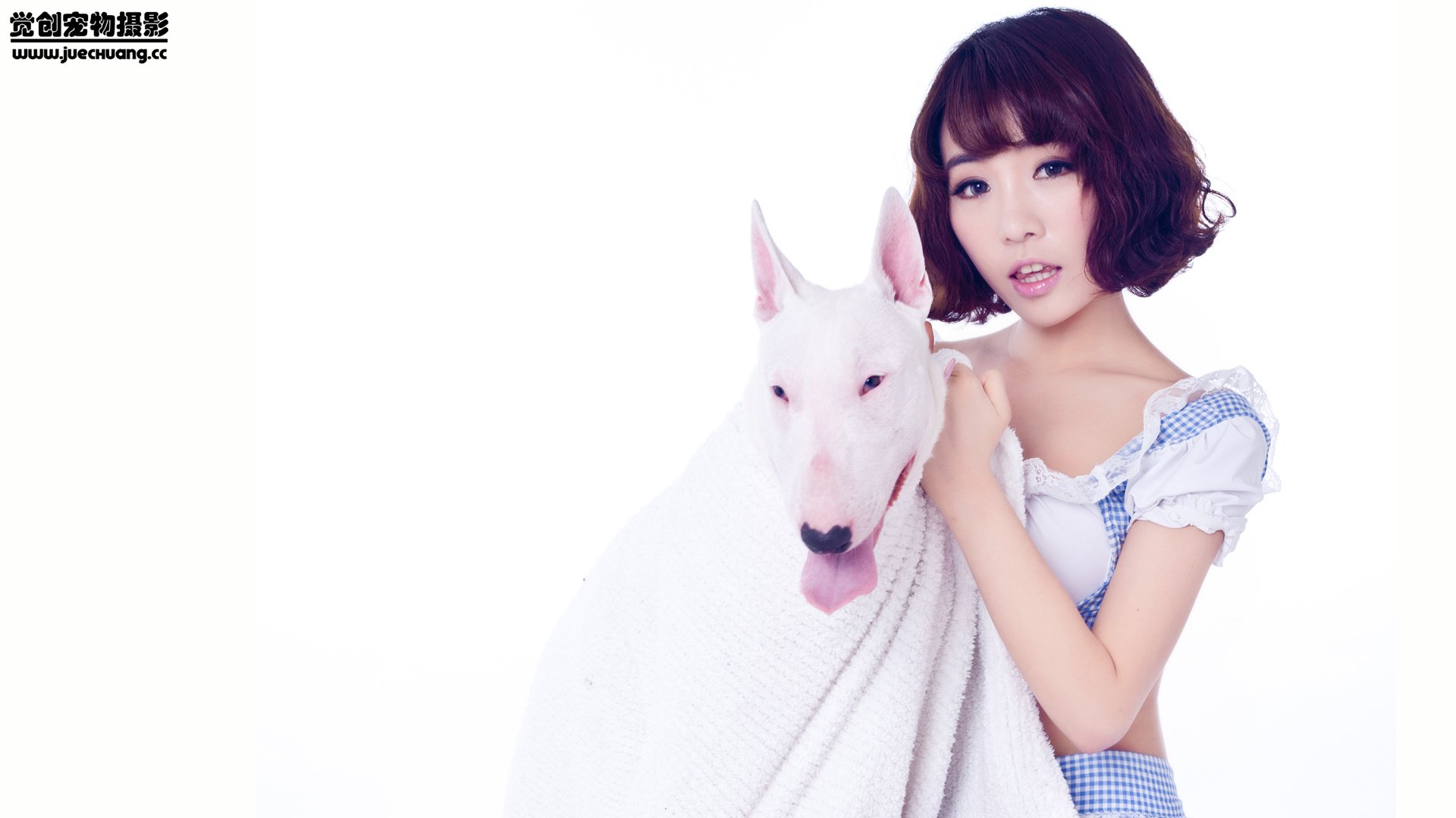 萌宠,觉创摄影,汪星人,狗,可爱,卖萌图,@觉创摄影,儿童桌面专用