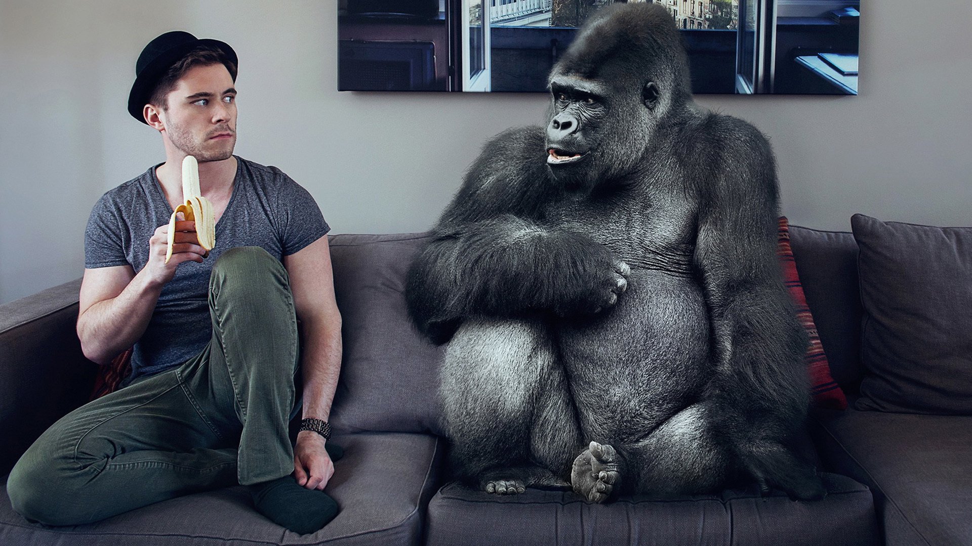 萌宠,野生动物,猩猩,卖萌图,可爱,古灵精怪,儿童桌面专用