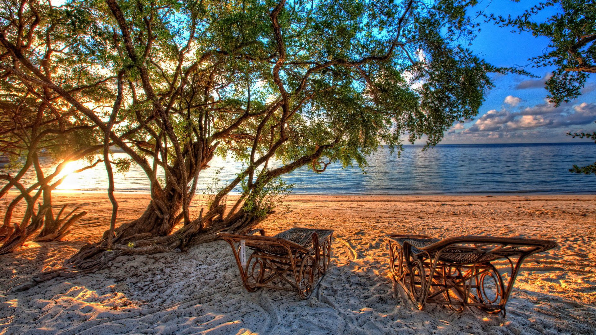 小清新,静物写真,温馨一刻,儿童桌面专用