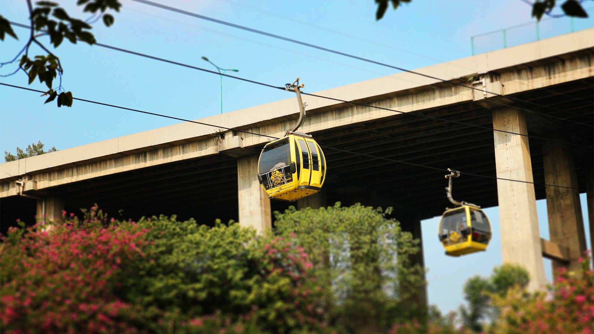 小清新,静物写真,YBP摄影,@YBP摄影,儿童桌面专用
