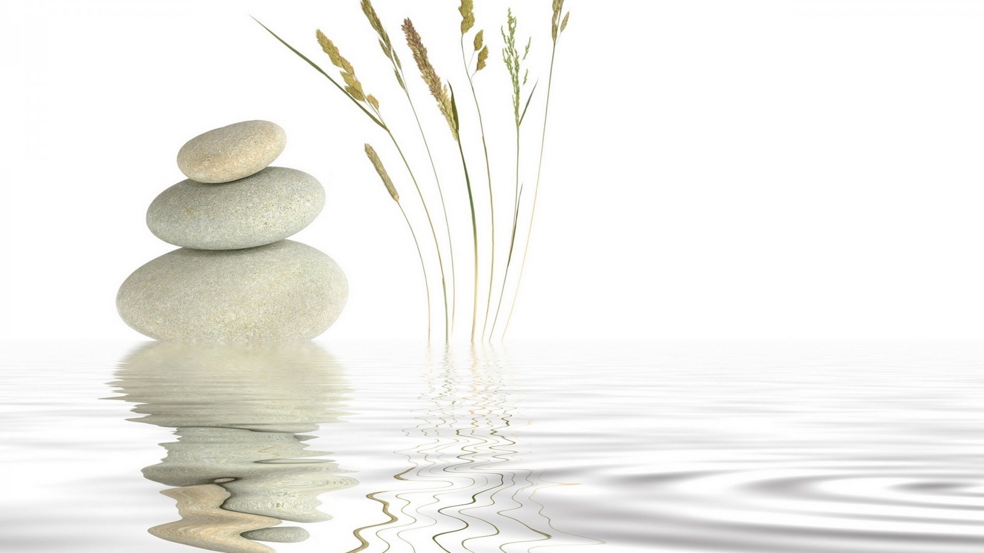 小清新,清新淡雅,儿童桌面专用