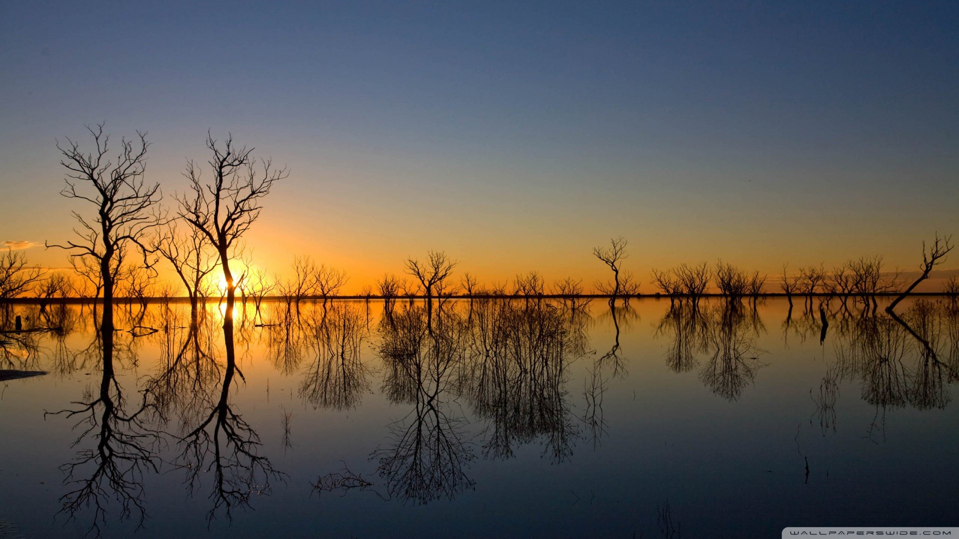 风景,落日余晖,儿童桌面专用