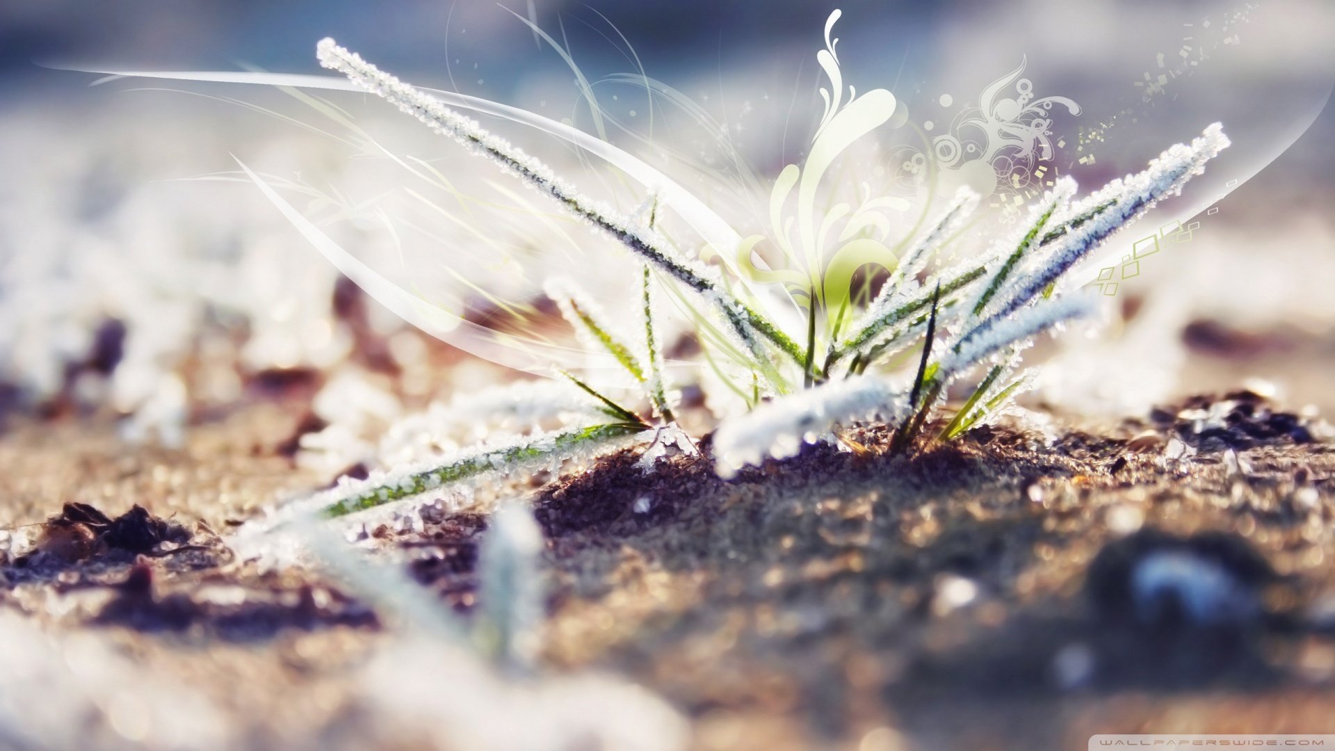 创意,设计,炫酷,炫彩,时尚,儿童桌面专用