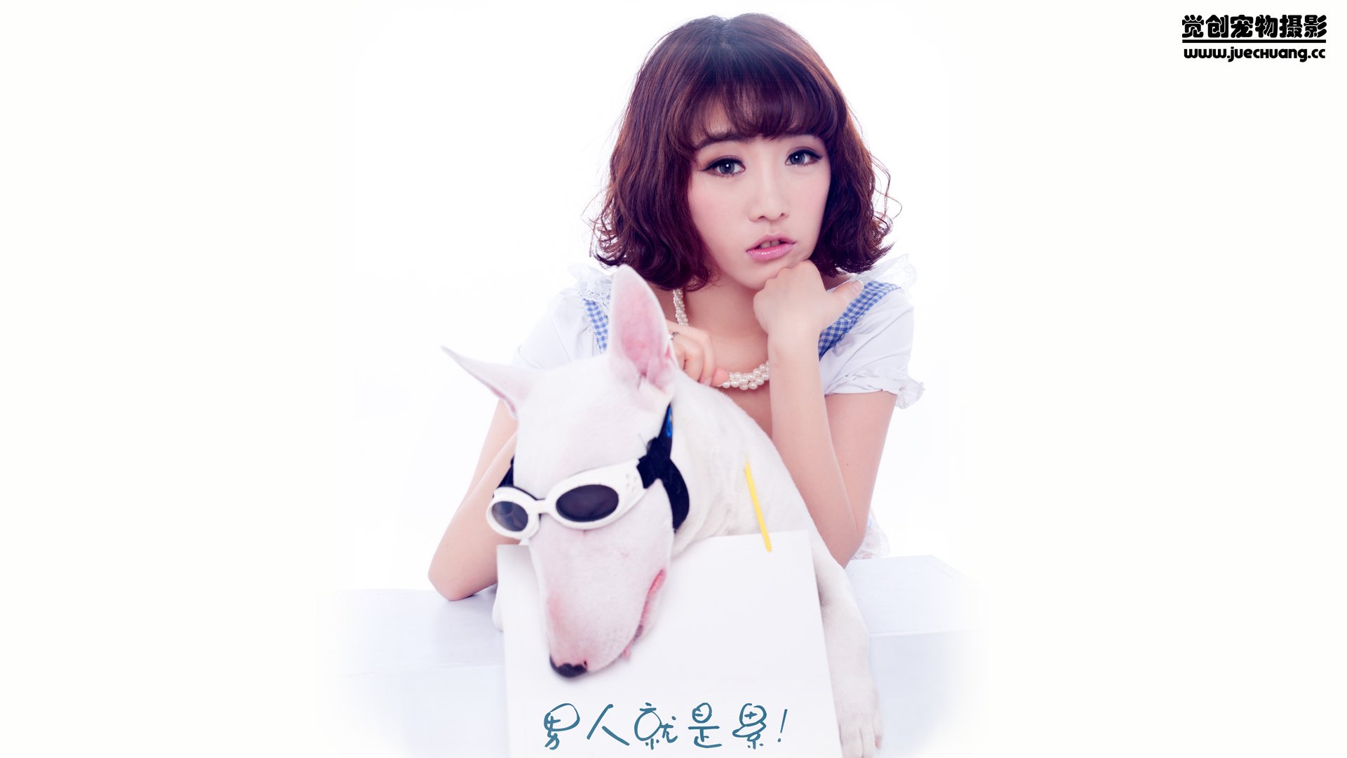 萌宠,汪星人,狗,可爱,卖萌图,古灵精怪,觉创摄影,@觉创摄影,儿童桌面专用