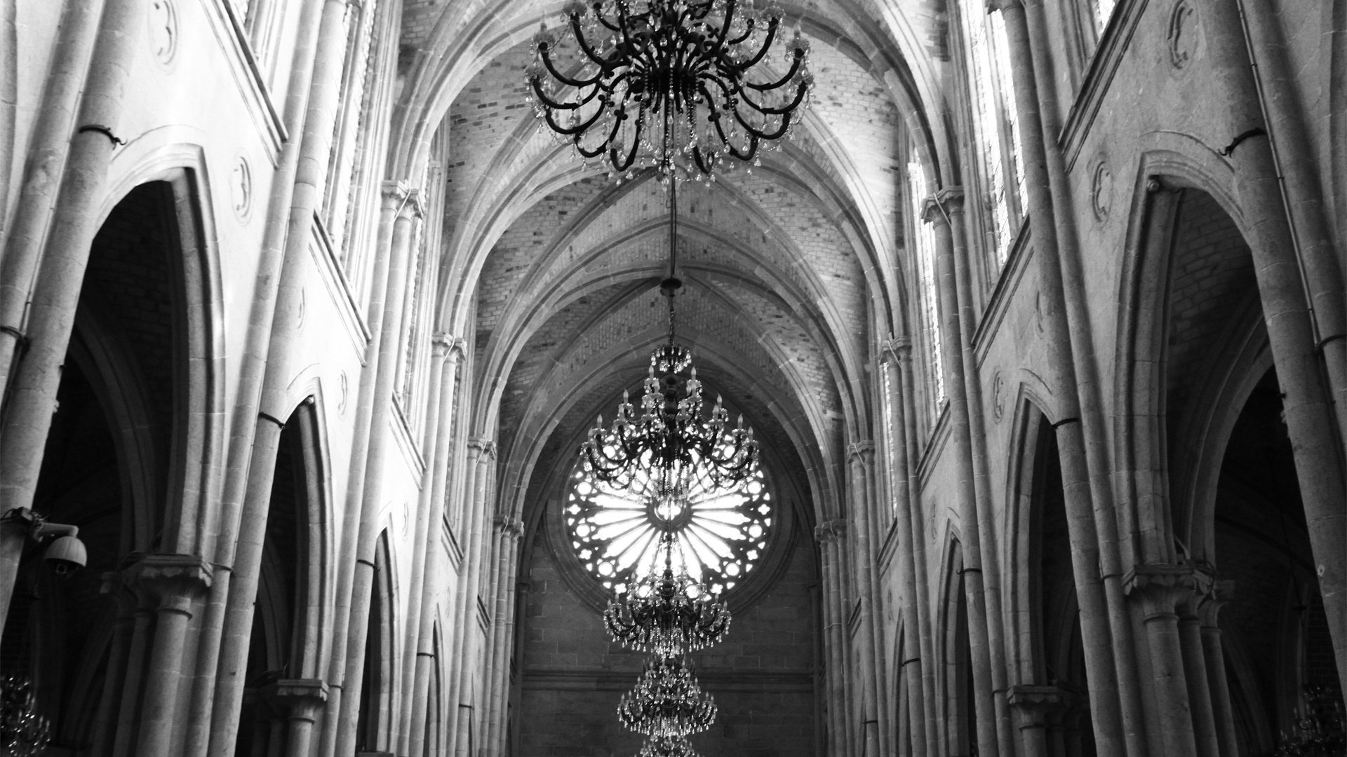 小清新,静物写真,YBP摄影,@YBP摄影