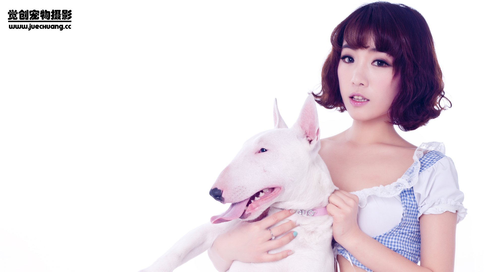 萌宠,汪星人,狗,可爱,卖萌图,古灵精怪,觉创摄影,@觉创摄影,儿童桌面专用