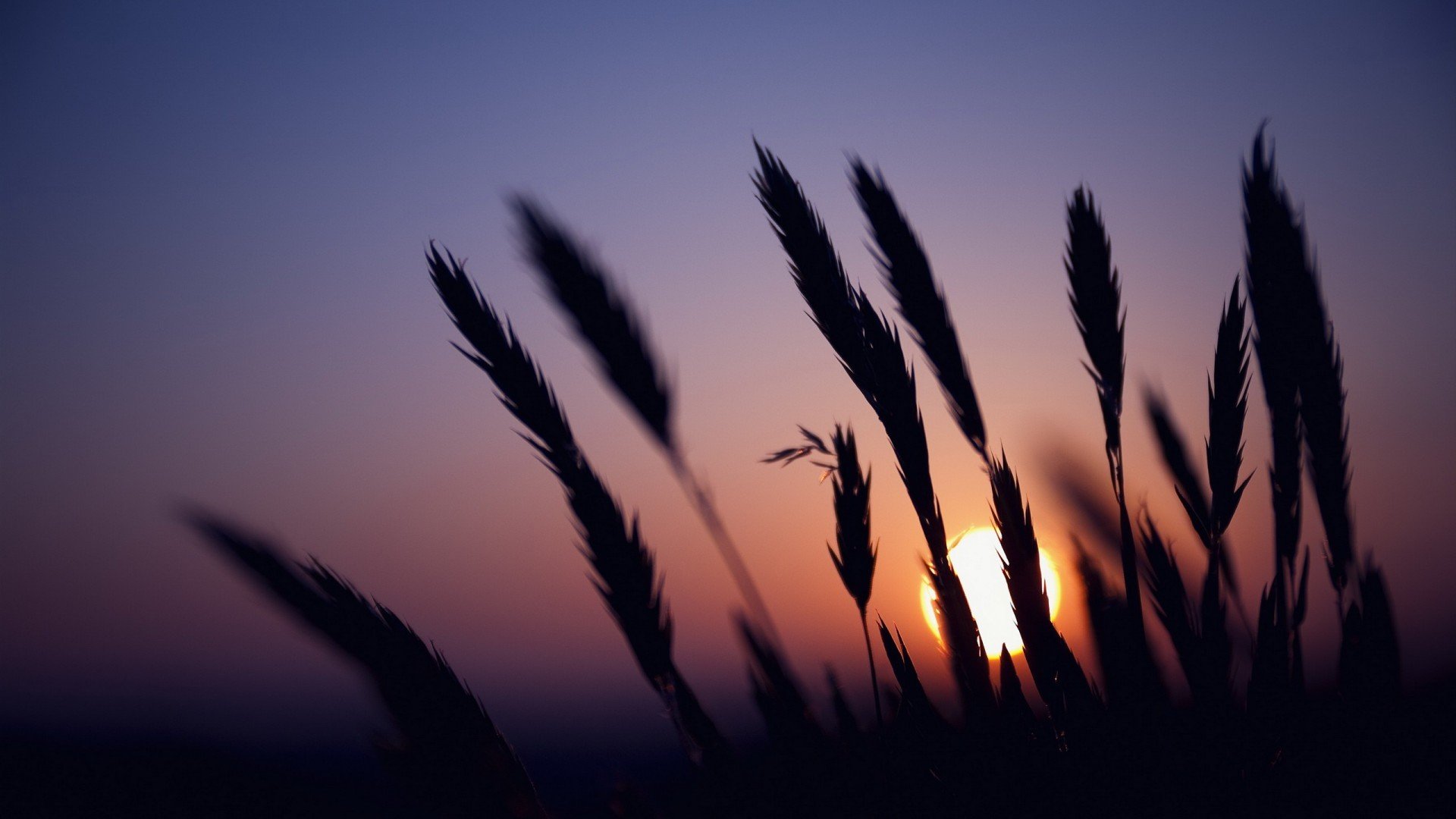 小清新,清新淡雅,舒缓压力,儿童桌面专用