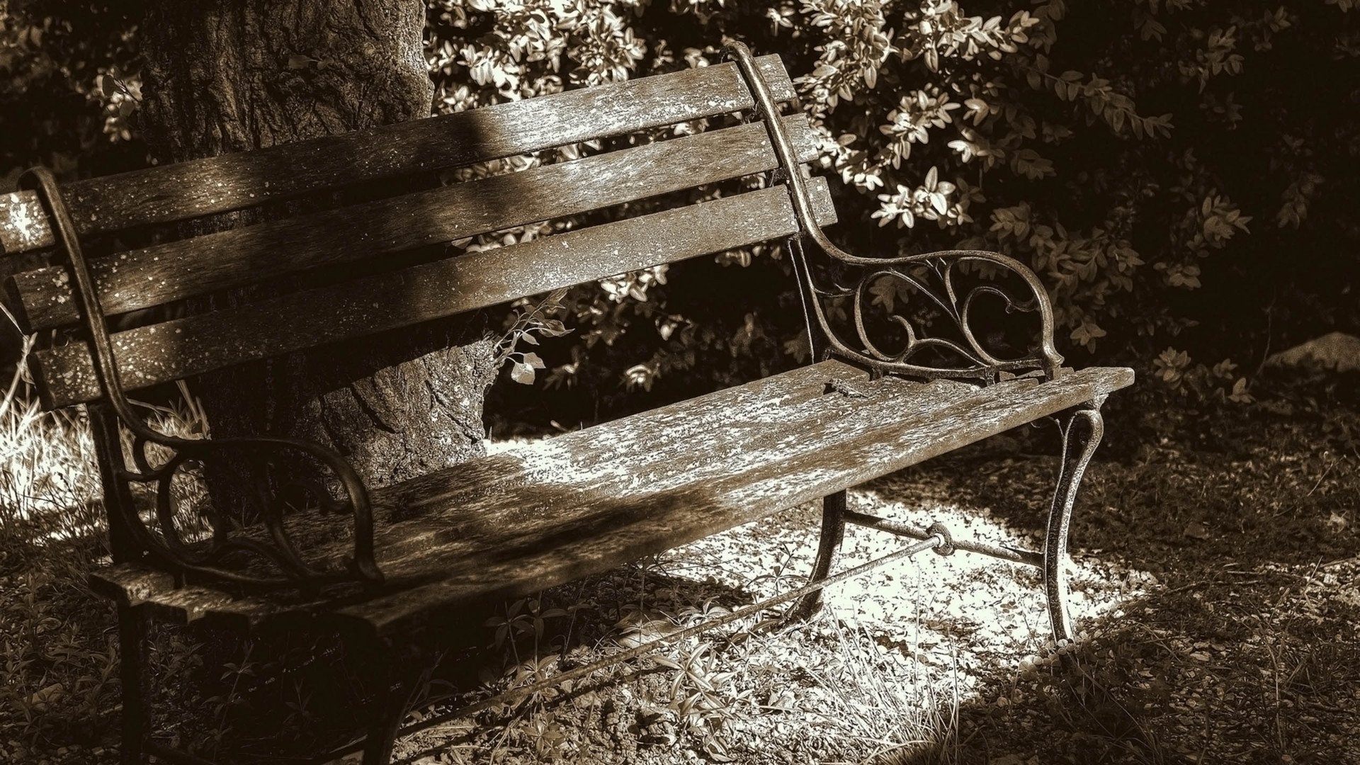 小清新,静物写真,吉他