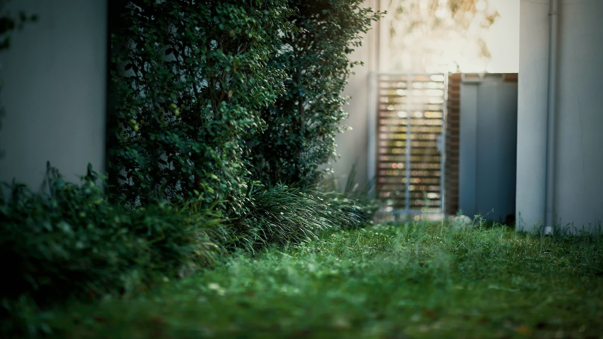 小清新,护眼壁纸,儿童桌面专用