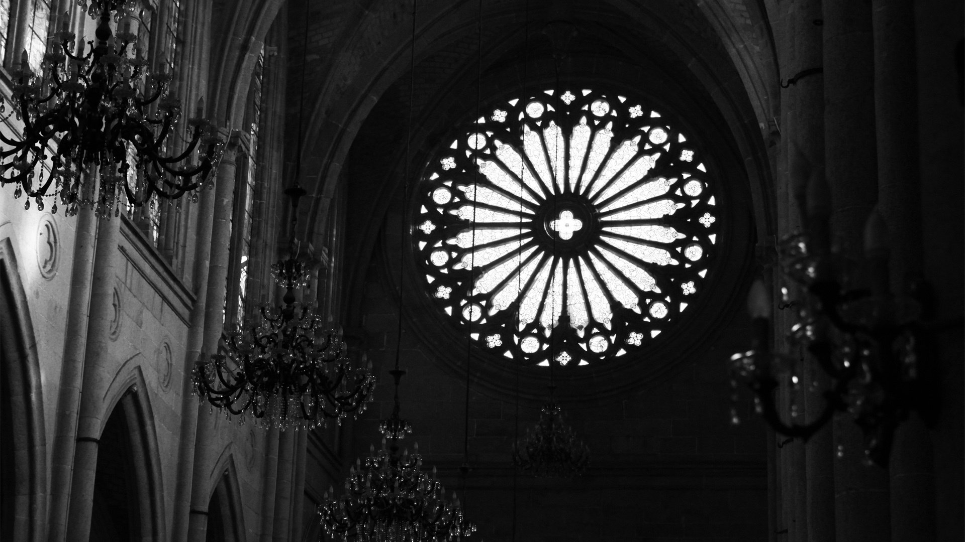 小清新,静物写真,YBP摄影,@YBP摄影