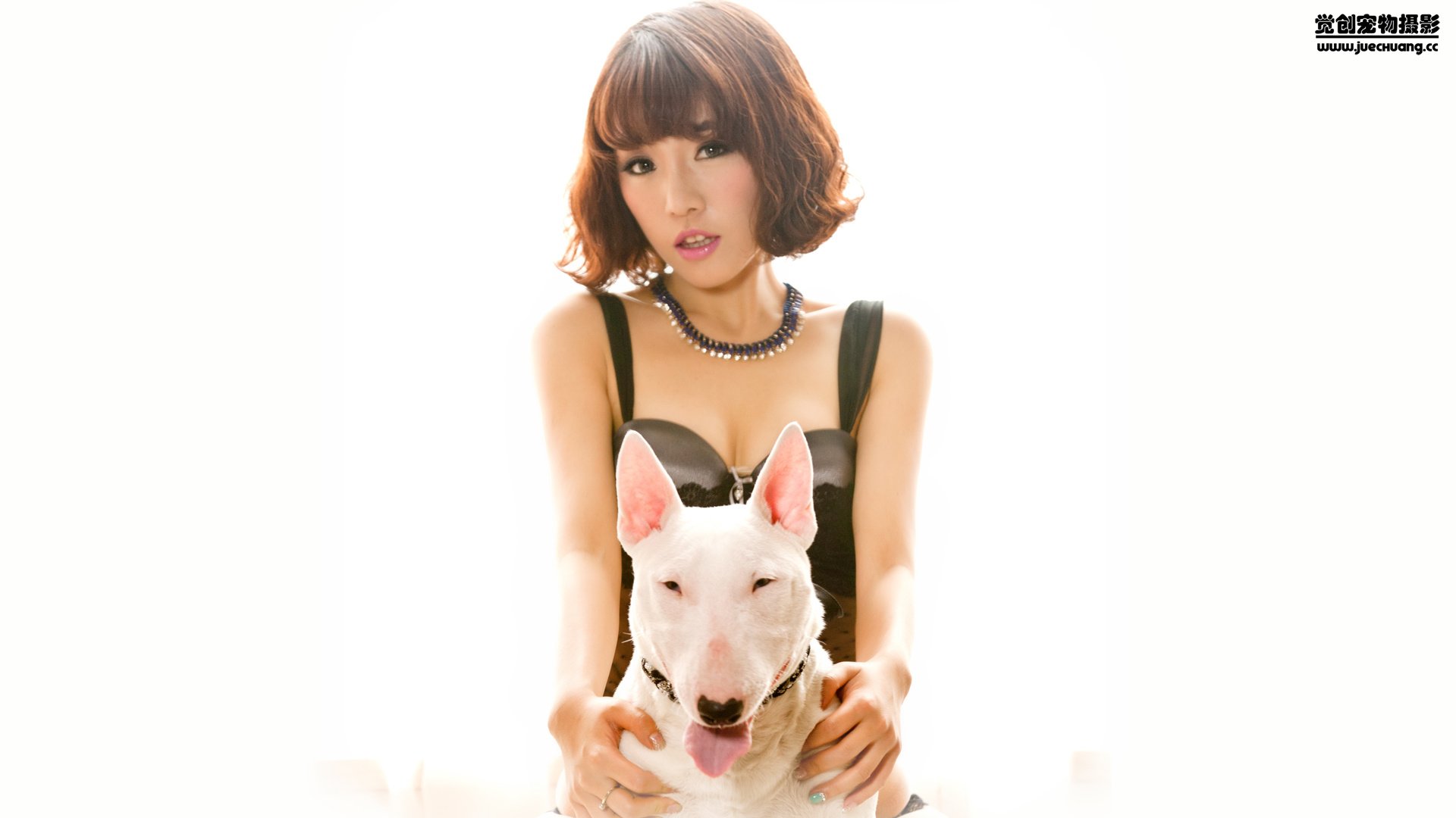 萌宠,狗,汪星人,卖萌图,可爱,独家首发,古灵精怪,觉创摄影,@觉创摄影,儿童桌面专用