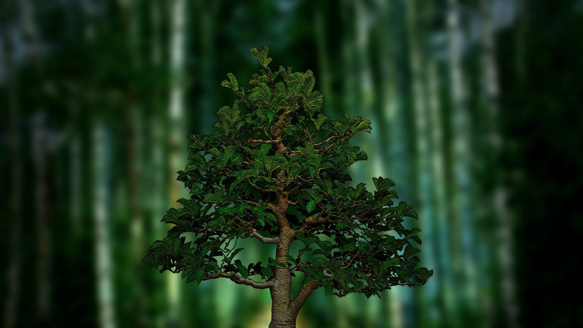 小清新,护眼壁纸,儿童桌面专用