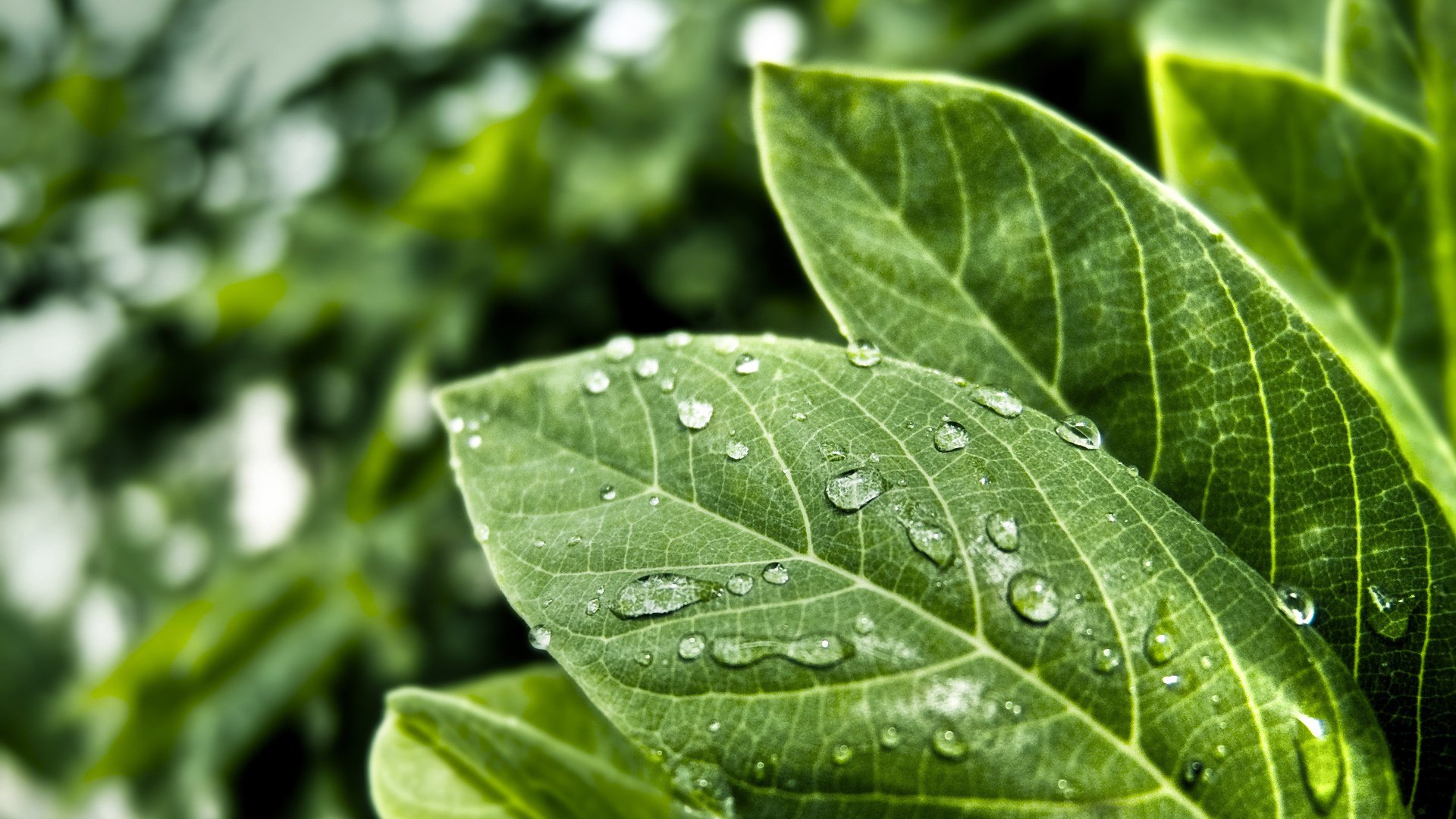 小清新,舒缓压力,护眼壁纸,儿童桌面专用