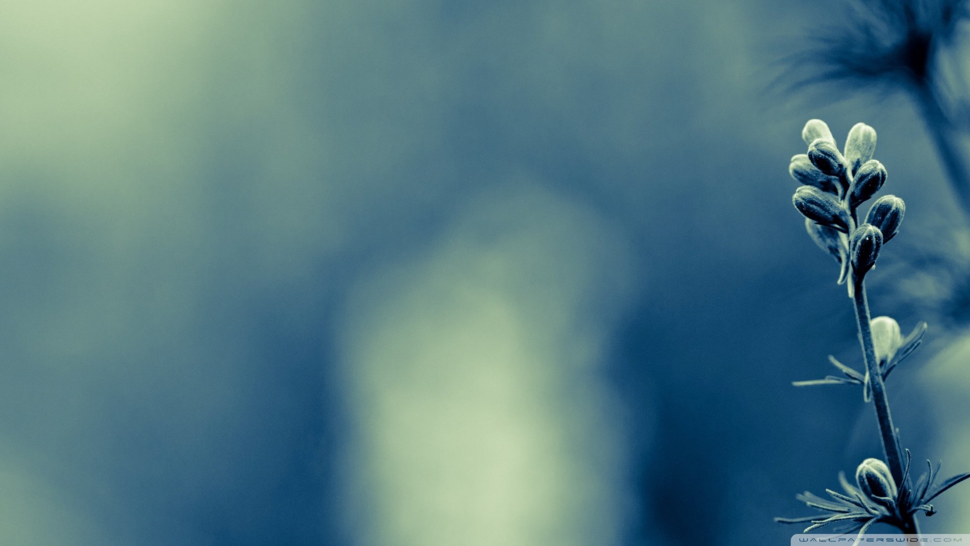 风景,奇幻梦境,儿童桌面专用