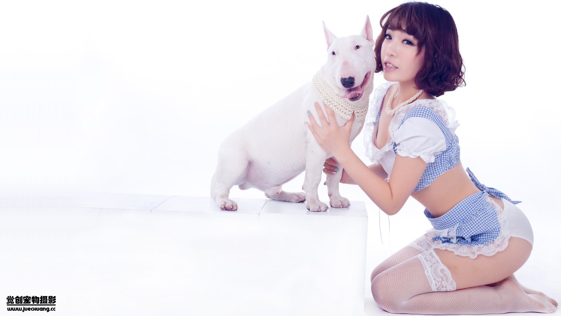 萌宠,狗,汪星人,卖萌图,可爱,独家首发,古灵精怪,觉创摄影,@觉创摄影,儿童桌面专用