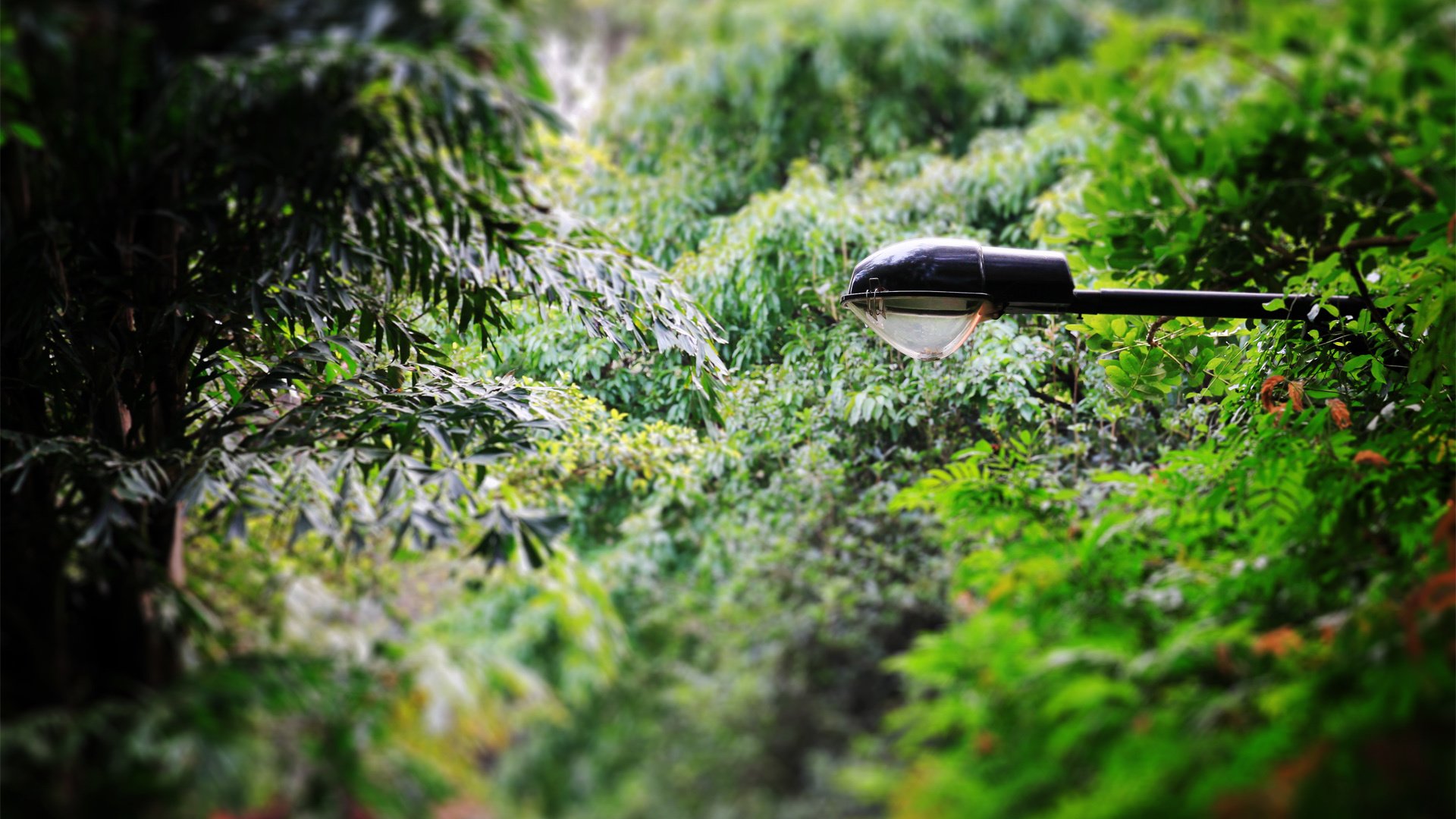 小清新,静物写真,YBP摄影,@YBP摄影,儿童桌面专用