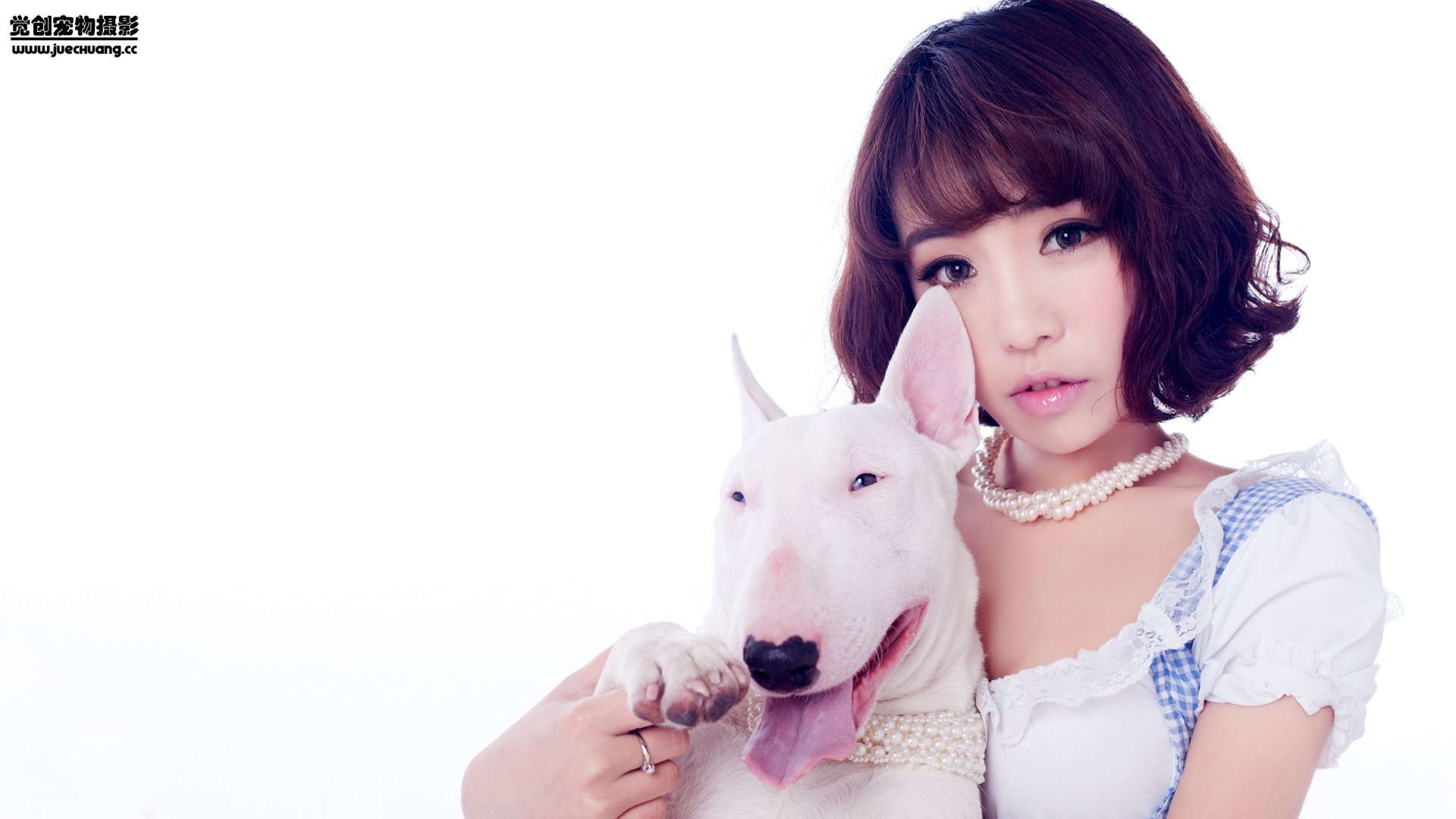 萌宠,狗,汪星人,卖萌图,可爱,独家首发,古灵精怪,觉创摄影,@觉创摄影,儿童桌面专用