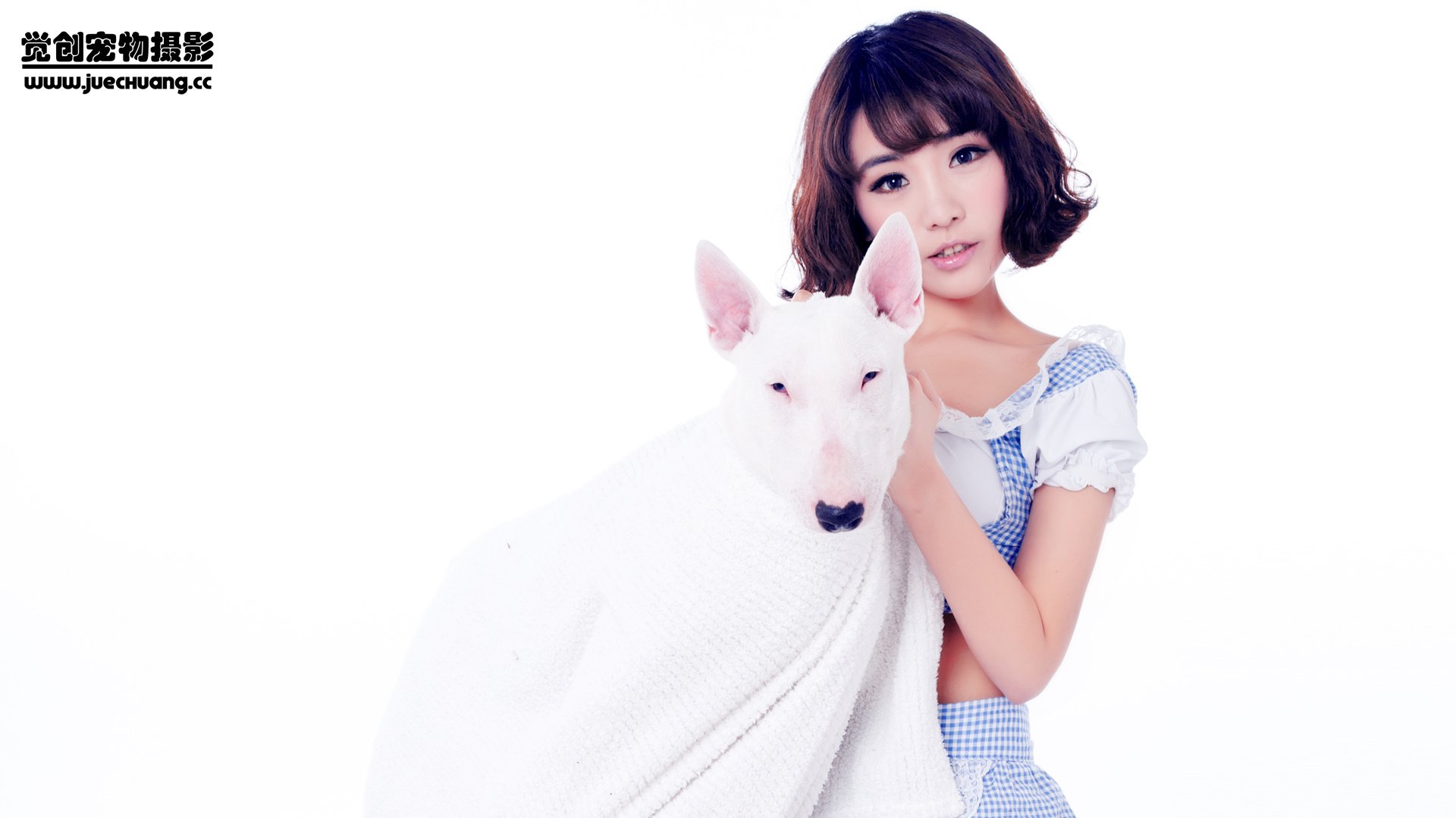 萌宠,汪星人,狗,可爱,卖萌图,古灵精怪,觉创摄影,@觉创摄影,儿童桌面专用