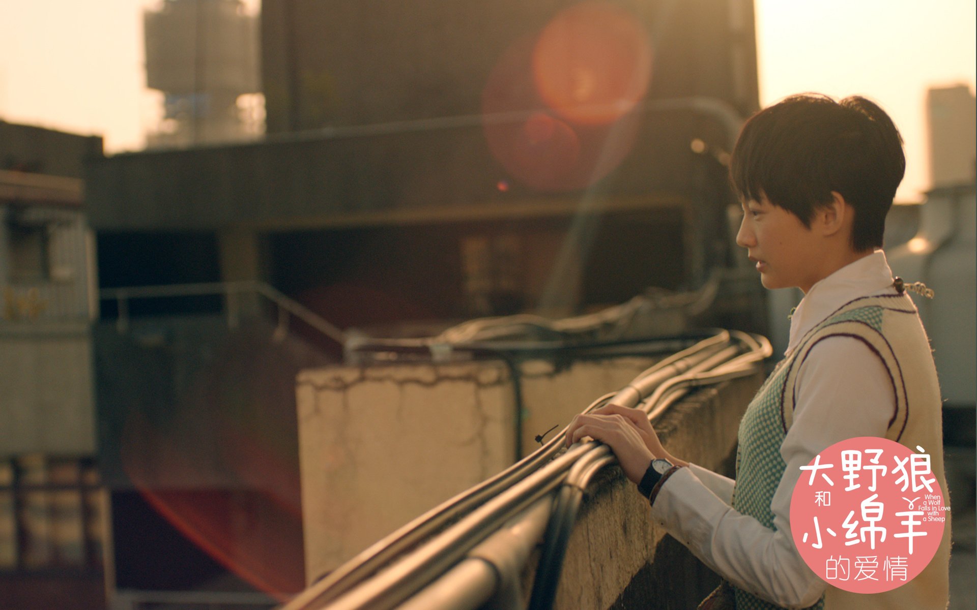 影视,大野狼小绵羊的爱情,独家首发,@大野狼小绵羊的爱情