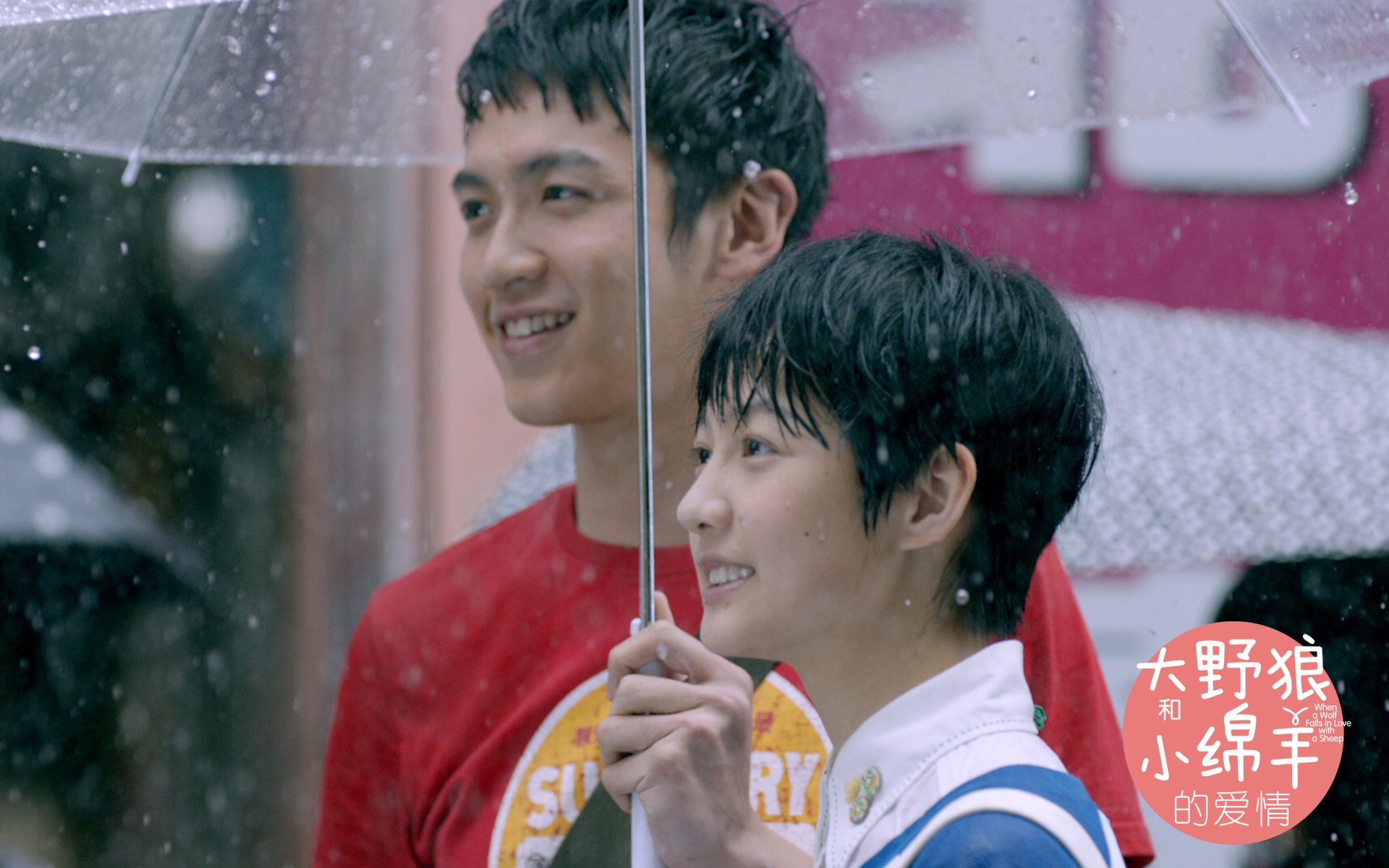 影视,大野狼小绵羊的爱情,独家首发,@大野狼小绵羊的爱情