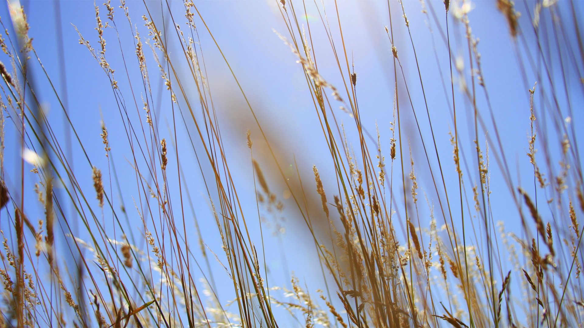 小清新,清新淡雅,儿童桌面专用