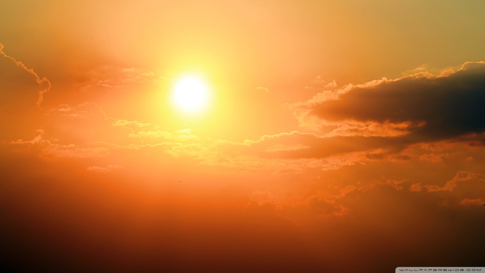 风景,落日余晖,儿童桌面专用