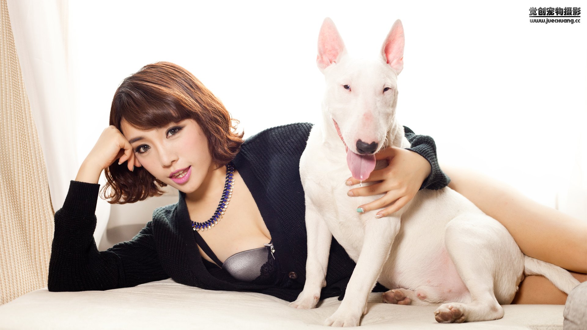 萌宠,汪星人,狗,可爱,卖萌图,古灵精怪,觉创摄影,@觉创摄影,儿童桌面专用